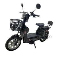 Электроскутер Сянчу SK8 R16