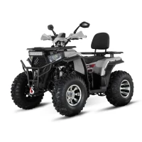 Квадроцикл WHITE SIBERIA BARS 200CC PRO Серый